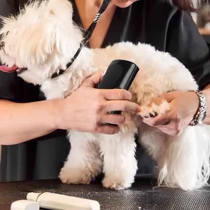 Brosse FurWonder - Brosse de toilettage