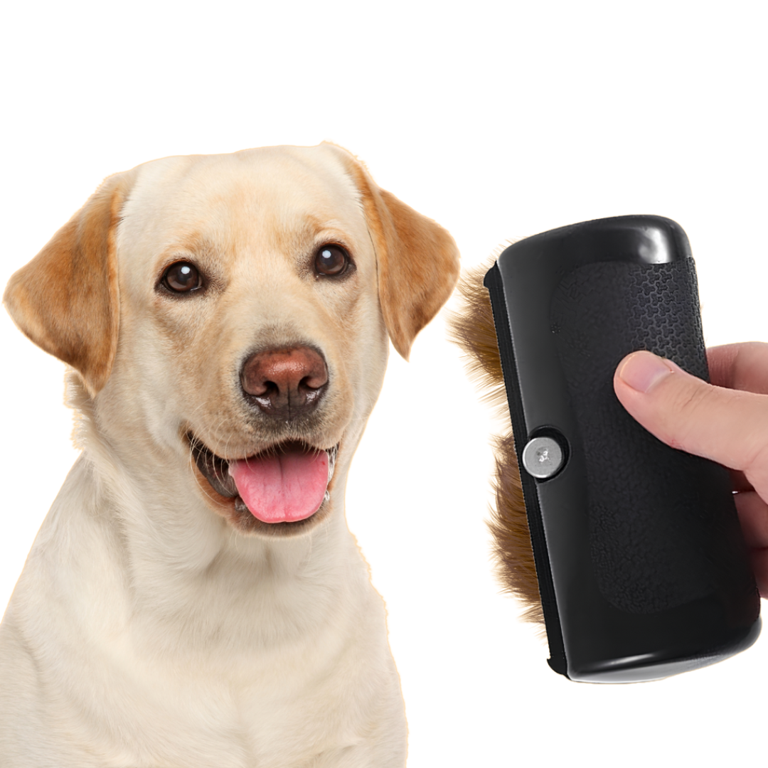 Brosse FurWonder - Brosse de toilettage