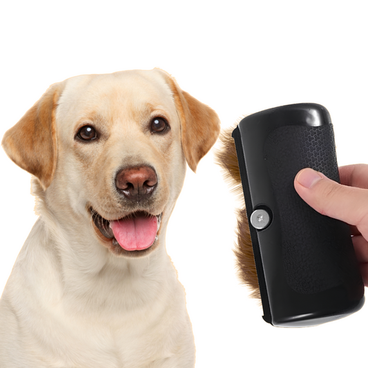 Brosse FurWonder - Brosse de toilettage